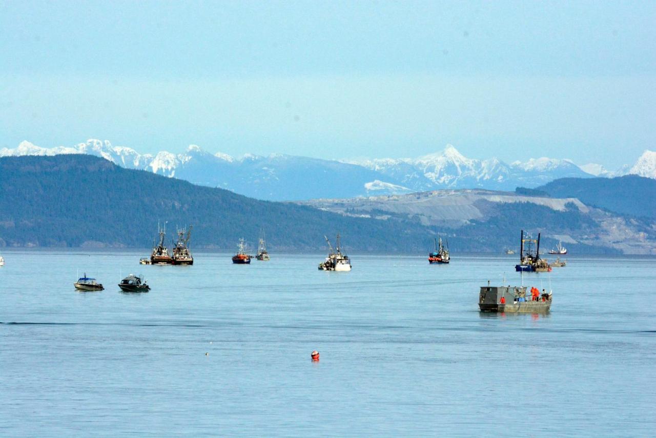 Oceanfront Paradise Comox Eksteriør billede