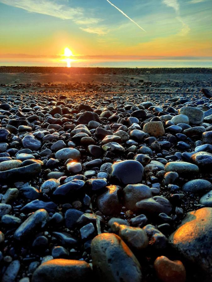 Oceanfront Paradise Comox Eksteriør billede
