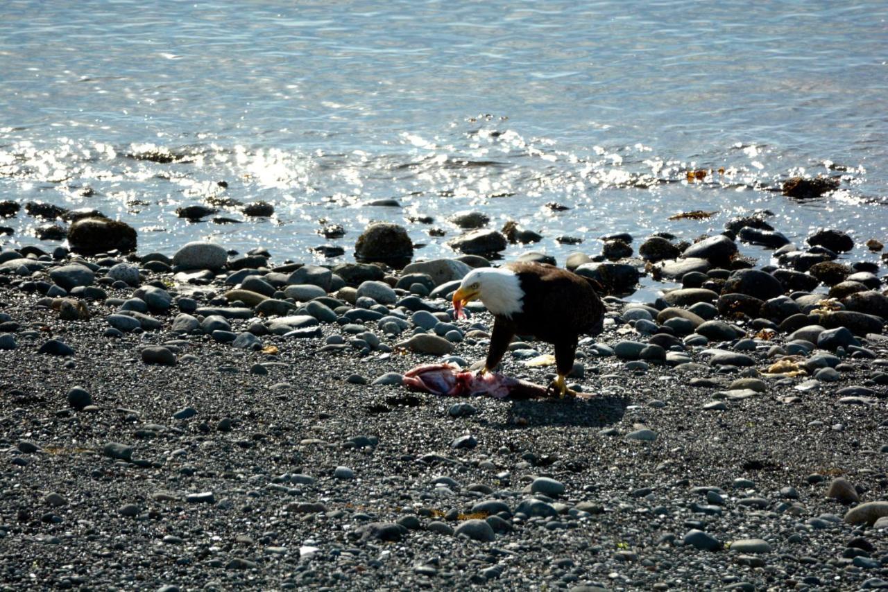 Oceanfront Paradise Comox Eksteriør billede