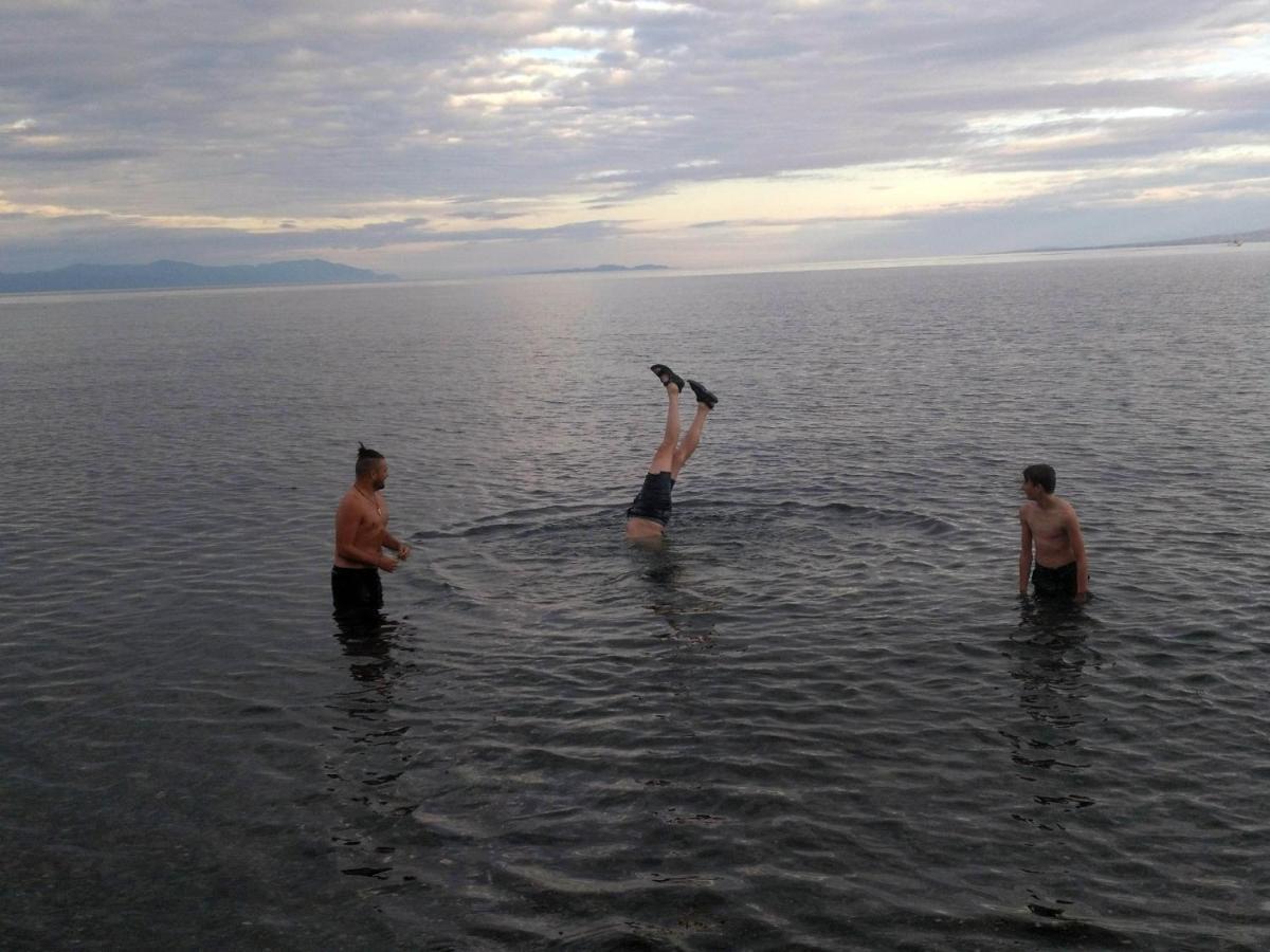 Oceanfront Paradise Comox Eksteriør billede